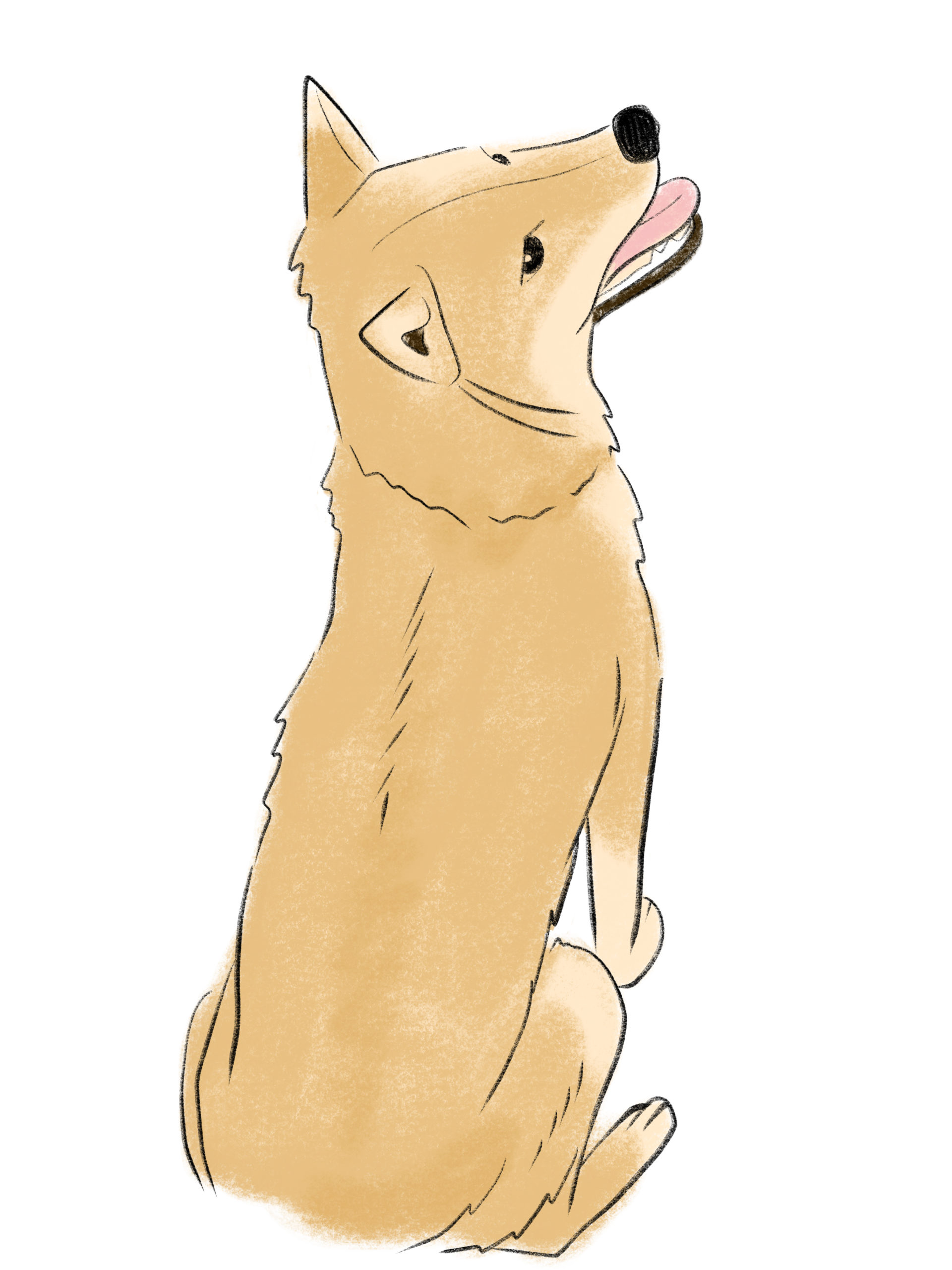 座って上を見上げる犬のイラスト
